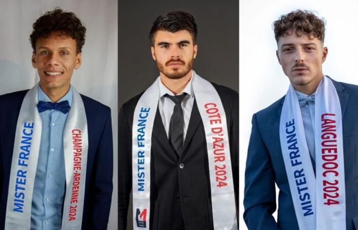 Männer, die zu perfekt sind und Kauf abstimmen … die lustigen Wahlen, die Schwierigkeiten haben, Miss France zu entsprechen