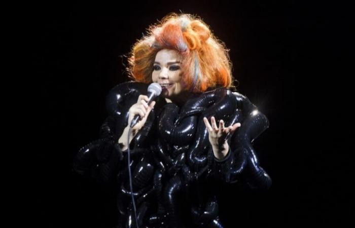 Für Björk ist „Spotify wahrscheinlich das Schlimmste, was Musikern jemals passiert ist“