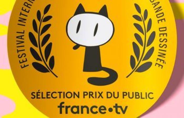 Warum sieht der Publikumspreis von France Télévisions nicht wie die anderen Auszeichnungen aus?