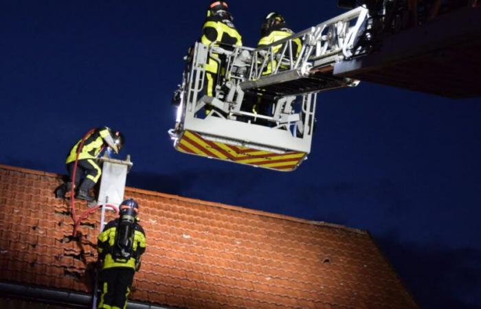 Zweidig. Schornstein feuert, “ein Problem, das ernst genommen werden muss”