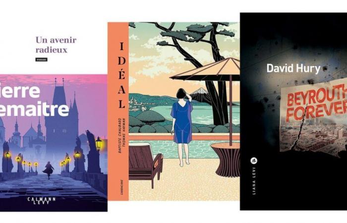 Bücher von Pierre Lemaitre, Céline Robert, David Hury, Baptiste Chaubard und Thomas Hayman, Jean-Christophe Deveney und Tommy Redolfi