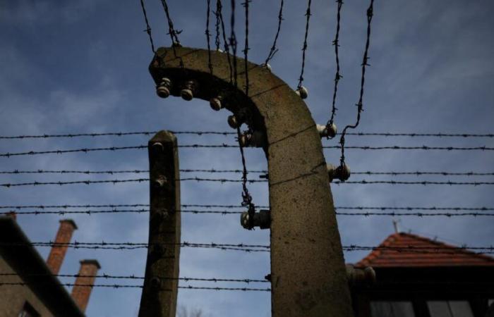 Zum 80. Jahrestag der Befreiung von Auschwitz kämpft Polen mit der Geopolitik