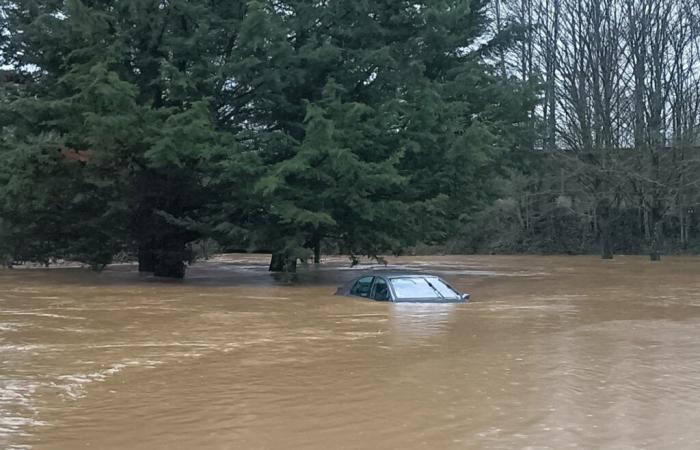 Neun Warenabteilungen, gewalttätige Winde, Überschwemmungen und Regenrunde