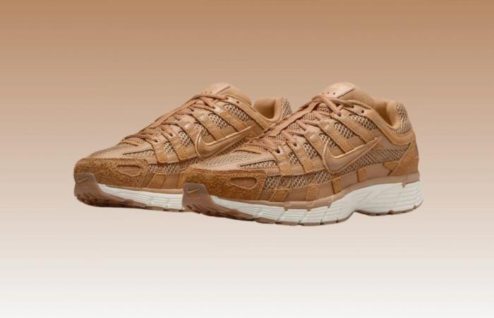 Diese Nike P-6000 Se-Sneakers sind zu einem Preis zu sehen