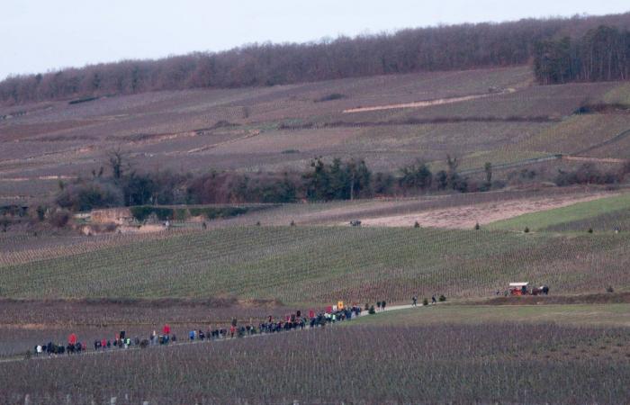 Der Saint-Vincent dreht sich 2025, „viel mehr als ein Volksereignis, ein Moment des Teilens“