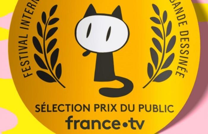 Warum sieht der öffentliche Preis von France Télévisions wie andere Preise aus?