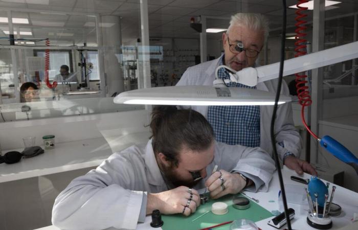 In Mérignac haben diese Wächter Gold in ihren Händen