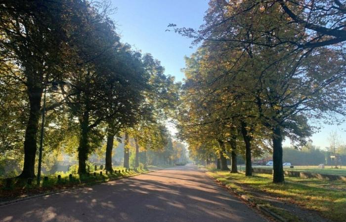 Hier ist die Wettervorhersage für die Woche im Norden und im Pas-de-Calais