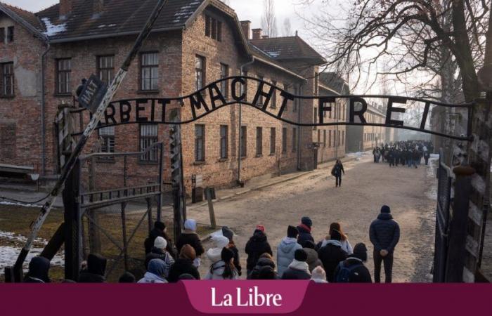 “Wir leben in einer dummen Gesellschaft, die Auschwitz-Birkenau geschaffen hat, und ich bin überzeugt, dass es wieder passieren könnte.”