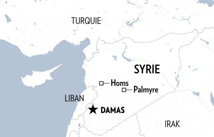 Die Presse in Syrien | Das Spektrum des islamischen Staates spielt immer noch