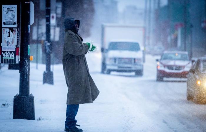 Südlich von Quebec | Starke Winde, Böen und Tragen am Montag geplant