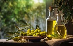 Algerisches Olivenöl gewinnt in der Schweiz Goldmedaille