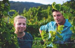 Das Weingut Aveyron zieht neue Mitarbeiter an