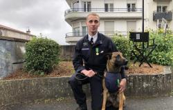 Angoulême: Der Polizeihund Scott wurde von der Gesellschaft für die Förderung des Wohls der Charente ausgezeichnet