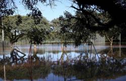 143 Tote bei Überschwemmungen, „Angst“ angesichts neuer Regenfälle im Süden