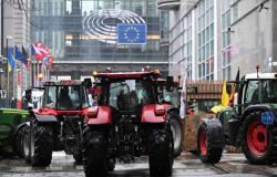 Angesichts der Wut der Landwirte befürworten die EU-Mitgliedstaaten endgültig eine Überarbeitung der GAP