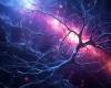 Die Entdeckung neuer Gehirnzellen könnte Geheimnisse der Alzheimer-Krankheit enthüllen