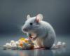 Vitamin D stärkt die Immunantwort von Mäusen auf Krebs