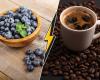 Laut dieser Studie wären Blaubeeren zur „Steigerung der Konzentration“ wirksamer als Kaffee