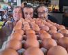Die achte Ausgabe der Deviled Egg-Weltmeisterschaft findet diesen Sonntag in Sète statt