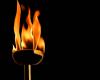 Hérault. Olympische Spiele 2024: Wird das olympische Feuer in Ihrer Nähe vorbeiziehen?