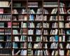 100 % Bücher: die Auswahl der Buchhandlung Le Neuf in Saint-Dié-des-Vosges