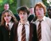 Eine im Kino kaum bekannte Schlüsselfigur aus den Harry-Potter-Büchern konnte in der neuen Fernsehserie endlich ins Rampenlicht gerückt werden
