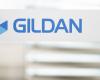 Machtkrieg in Gildan | Die Caisse de dépôt wählt ihren Clan