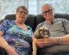 „Sie hat uns das Leben gerettet“: ein krankes älteres Ehepaar, das keine Unterkunft für seinen Hund finden konnte