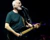 War das David Gilmours letztes „Comfortably Numb“?
