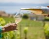 Das Klimaschutzgebiet für Wein lädt zum Grand Conseil Vaudois ein