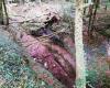 Mitten im Wald stürzt ein Wanderer 15 Meter in eine Schlucht im Doubs, sein Kind schlägt Alarm