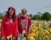Im Mai ist ihr Irisfeld eine Explosion von Blumen in tausend Farben