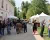 Dieses unverzichtbare „Gartenfest“ findet dieses Wochenende in Essonne statt: hier erfahren Sie, wo