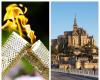 Durchgang der Olympischen Flamme durch den Mont-Saint-Michel: Alles, was Sie wissen müssen