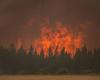 Waldbrände: BC bietet Werkzeuge, damit die Bewohner besser vorbereitet sind | Waldbrände in Kanada