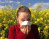 Alarmstufe Rot: Achten Sie auf Pollen in Mayenne!