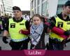 Greta Thunberg am Rande des Eurovision Song Contest verhaftet (FOTOS)