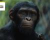 Eine Saga in 9 Filmen? Das ist das enorme Ziel von Planet der Affen! – Kinonachrichten