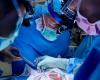 Erster Mensch, der eine genetisch veränderte Schweinenierentransplantation erhielt, stirbt im Alter von 62 Jahren