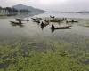 NGT fordert dringende Maßnahmen gegen den sich verschlechternden Zustand von Dal Lake