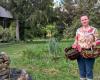 Ille-et-Vilaine: Im Garten können Sie Ihren eigenen Kräutertee zubereiten
