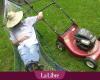 „Im Mai mit dem Mähen aufhören“: Das sind die Vorteile, wenn Sie Ihren Rasen in Ruhe lassen