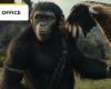 Planet der Affen an den US-Kinokassen: Gelungener Start für The New Kingdom? – Kinonachrichten