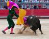 zum endgültigen Verbot von Stierkämpfen in Pérols?