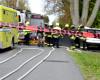 Heftiger Zusammenstoß mit einem Baum, ein Sechzigjähriger kommt in Saint-Bonaventure ums Leben – Vingt55