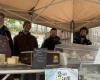 in Angers, ein Tag zur Förderung des Bio-Sektors