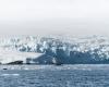 Katastrophe in Sicht: Der „Gletscher der Apokalypse“ schmilzt viel schneller als erwartet