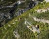 Gibt es Gemeinsamkeiten bei den Alpenweinen von den Alpes-de-Haute-Provence über das Wallis nach Slowenien?