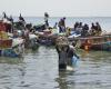 Ausbeutung des Sangomar-Feldes: Fischer wollen nicht in unruhigen Gewässern navigieren – Lequotidien